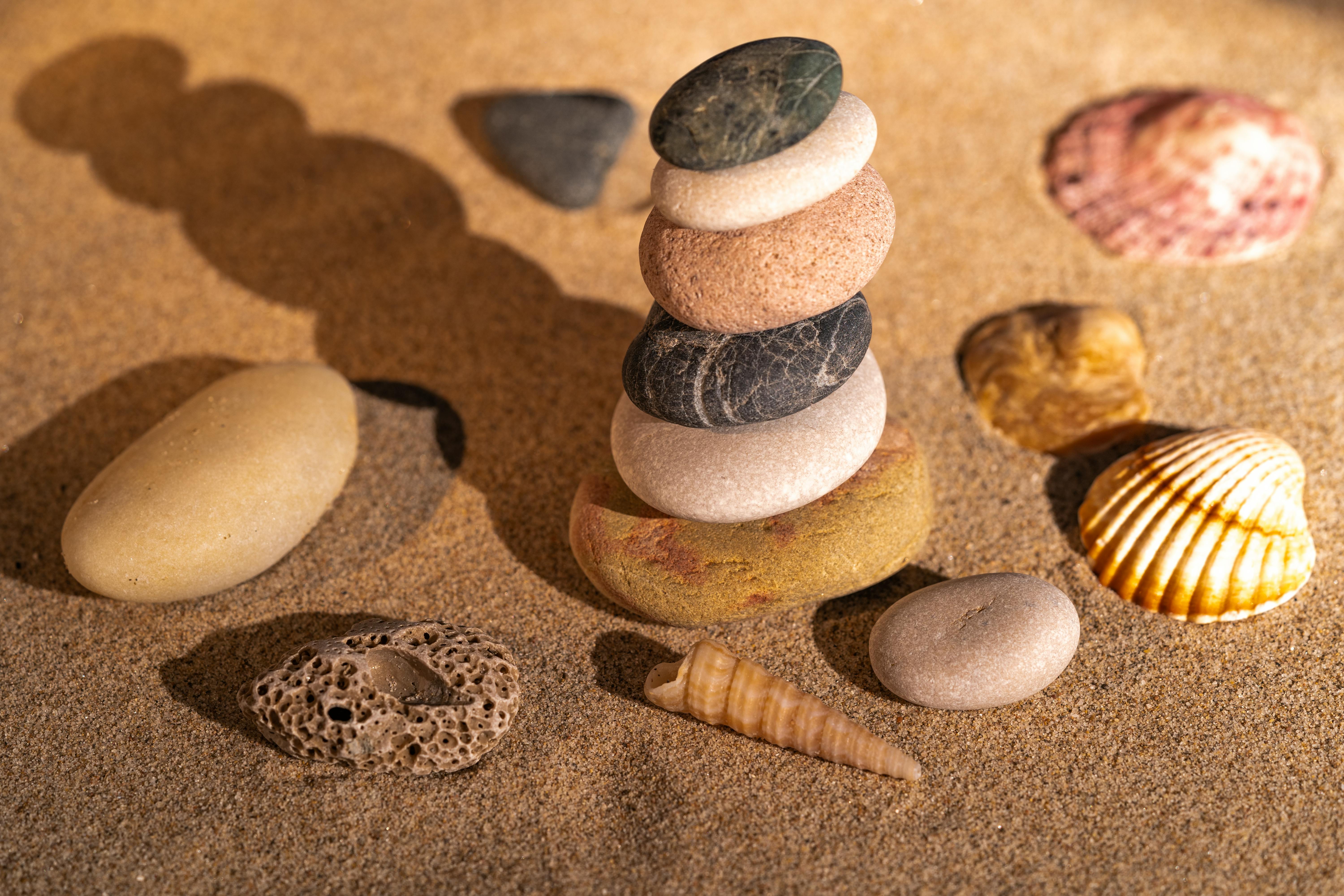 Steine und Muscheln am Strand
